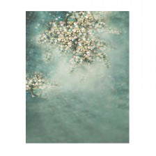 Photography Backgrounds